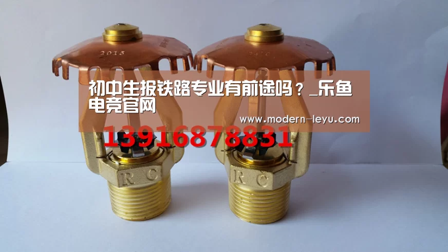 
初中生报铁路专业有前途吗？_乐鱼电竞官