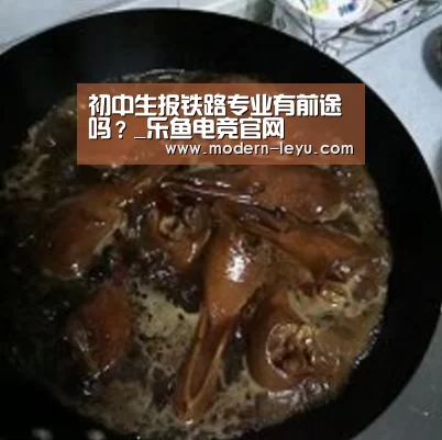 初中生报铁路专业有前途吗?_乐鱼电竞官网(图2) 乐鱼电竞leyu